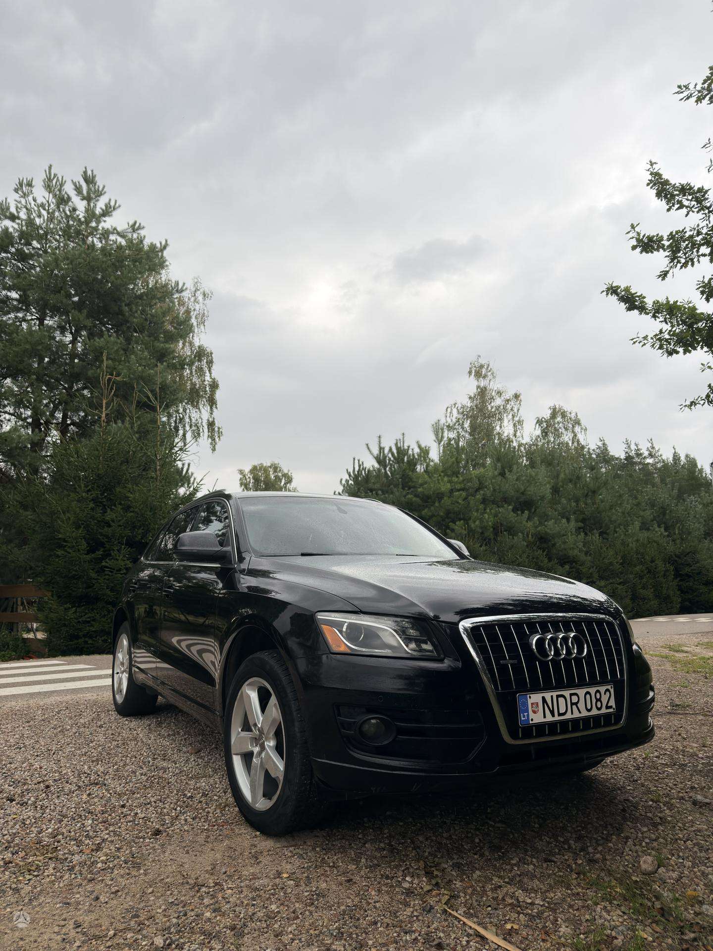 Audi Q5 2010