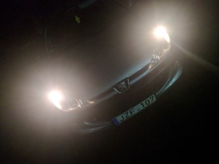 Peugout 206 2005