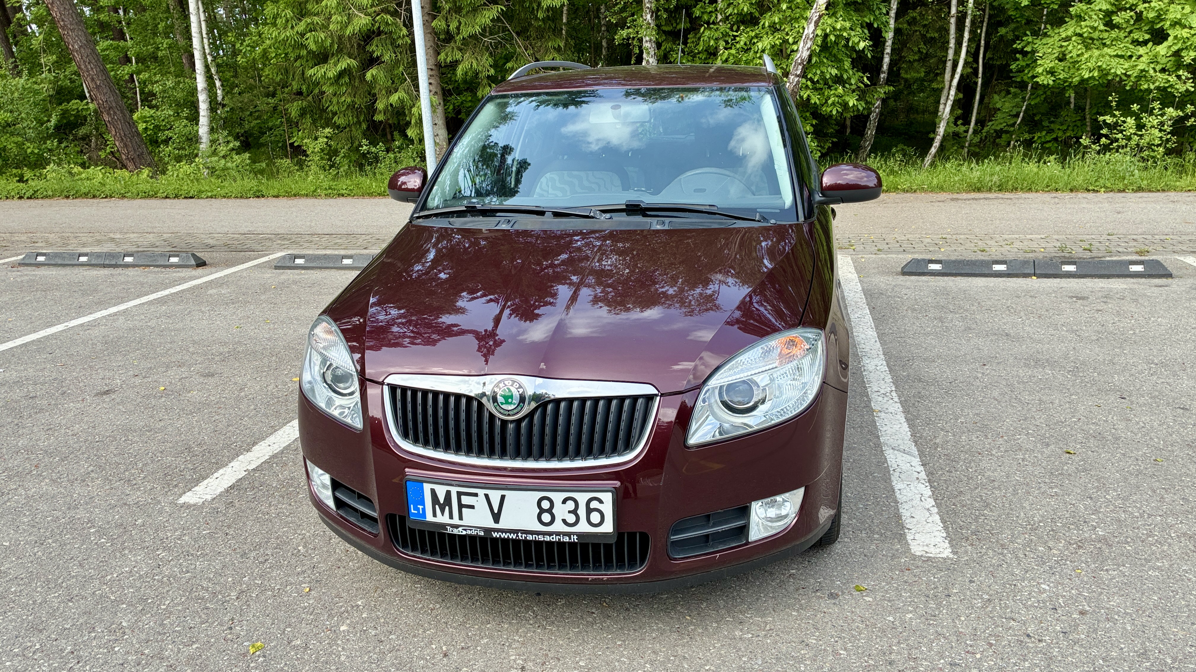 Skoda Fabia 2010