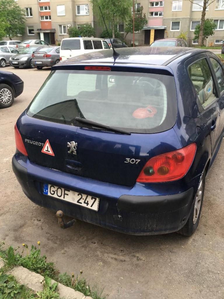 Peugeot  307 2001